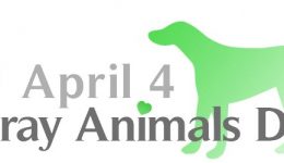 4 Απριλίου:Παγκόσμια Ημέρα Αδέσποτων Ζώων